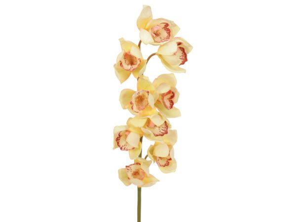 Orchidej větvička, žlutá, 90 cm - Image 2