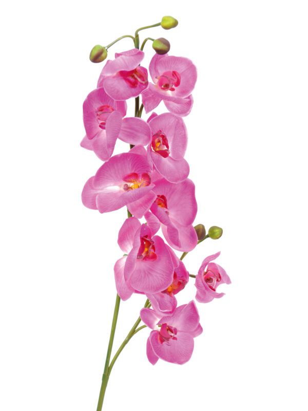 Orchidej větvička fialová, 100 cm - Image 2