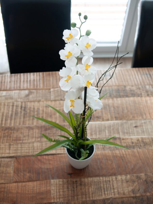 Orchidej bílá v dekoračním květináči, 62 cm - Image 5