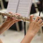 Jak vybrat flétnu