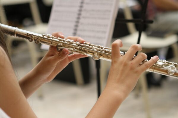 Jak vybrat flétnu: Kompletní průvodce pro začátečníky i pokročilé